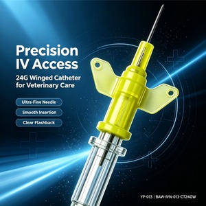 Butterfly Type IV Cannula Infusion